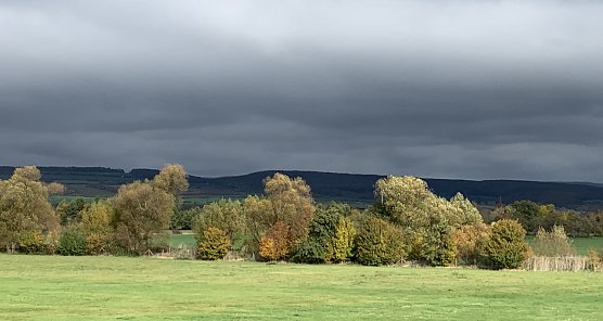 Herbststimmung (Foto: oas) Herbststimmung (Foto: oas)