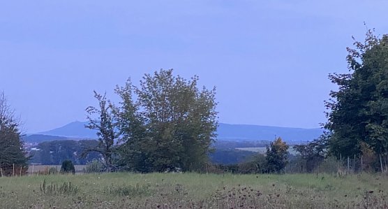 Blick zum Kyffhäuser (Foto: oas) Blick zum Kyffhäuser (Foto: oas)