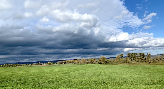 Herbstimpression bei Auleben (Foto: oas) Herbstimpression bei Auleben (Foto: oas)