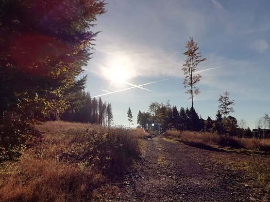 Sonnenstrahlen fallen ins schöne Sophienhof... (Foto: Wolfgang Jürgens) Sonnenstrahlen fallen ins schöne Sophienhof... (Foto: Wolfgang Jürgens)