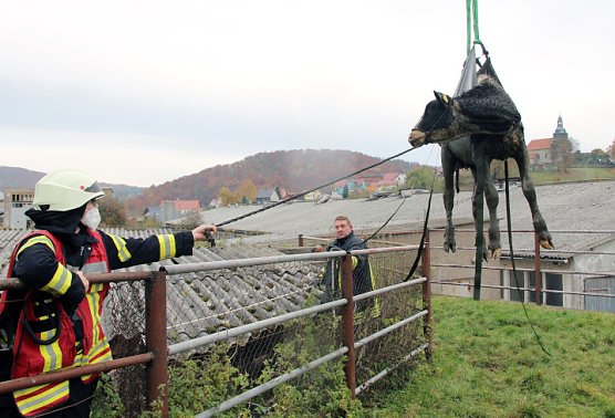 Tierrettung (Foto: Feuerwehr Heiligenstadt) Tierrettung (Foto: Feuerwehr Heiligenstadt)