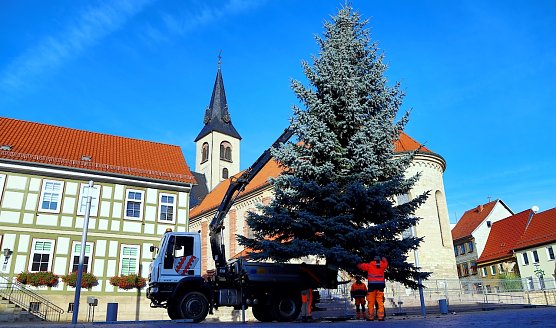 Der Worbiser weihnachtsbaum (Foto: Ren&eacute; Wei&szlig;bach)