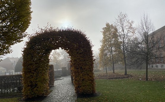 Neblige Kurpromenade in Bad Langensalza (Foto: oas)