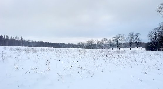 Wetter im Harz weiter winterlich (Foto: W.J&ouml;rgens)