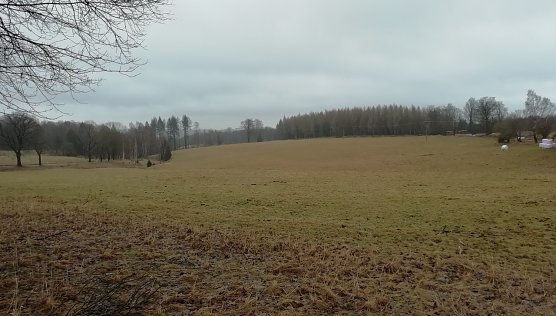 Auch der Hochharz ist bei 2 Grad wieder schneefrei (Foto: W.J&ouml;rgens)
