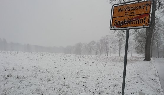Unser Wetterfrosch vor Ort meldet 0 Grad und Schneefall (Foto: W.Jörgens) Unser Wetterfrosch vor Ort meldet 0 Grad und Schneefall (Foto: W.Jörgens)