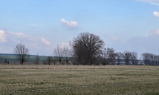 Frühlingshafte Tage, aber kalte Nächte bleiben uns erhalten (Foto: oas) Frühlingshafte Tage, aber kalte Nächte bleiben uns erhalten (Foto: oas)