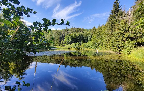 Bei Neustadt/Harz (Foto: Peter Blei) Bei Neustadt/Harz (Foto: Peter Blei)