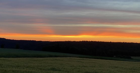 Weiter viel Sonne und kein Regen (Foto: oas) Weiter viel Sonne und kein Regen (Foto: oas)