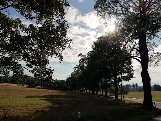 Sp&auml;tsommerlich war es heute morgen auch in Sophienhof (Foto: W. J&ouml;rgens)