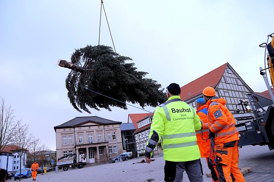 Eine rund 14 Meter hohe Tanne schm&uuml;ckte vor zwei Jahren den Friedensplatz in Worbis. Mit Hilfe eines Schwerlastkrans wurde der Baum durch den Bauhof an seinen Platz man&ouml;vriert. (Foto: Ren&eacute; Wei&szlig;bach)