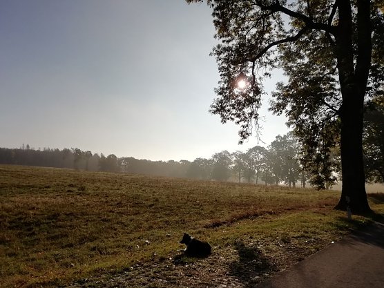 Einen malerischen Herbstmorgen hat Herr Jörgens heute in Sophienhof festgehalten (Foto: W. Jörgens) Einen malerischen Herbstmorgen hat Herr Jörgens heute in Sophienhof festgehalten (Foto: W. Jörgens)