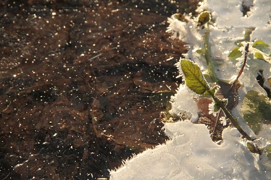 Wetterbild (Foto: agl)
