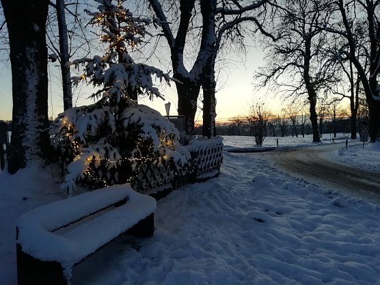 Frostig, frisch und festlich - Sophienhof im Harz (Foto: W. J&ouml;rgens)