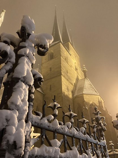 Magische Weihnacht (Foto: Silvia Schäfer) Magische Weihnacht (Foto: Silvia Schäfer)