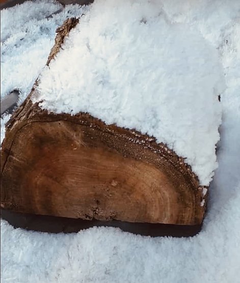 Holzstollen (Foto: Christine Stanke aus Uthleben ) Holzstollen (Foto: Christine Stanke aus Uthleben )