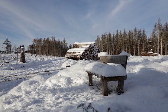 Schneelandschaft in er Nähe des Sophienhofs (Foto: Marion Wieland) Schneelandschaft in er Nähe des Sophienhofs (Foto: Marion Wieland)