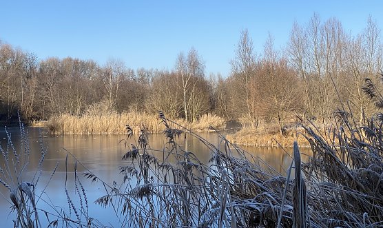 Im Wochenverlauf wird es wieder k&auml;lter, Silvester aber w&auml;rmer (Foto: oas)