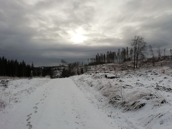 Schneebedeckt und wolkenverhangen zeigt sich der Harz bei Sophienhof (Foto: W. Jörgens) Schneebedeckt und wolkenverhangen zeigt sich der Harz bei Sophienhof (Foto: W. Jörgens)