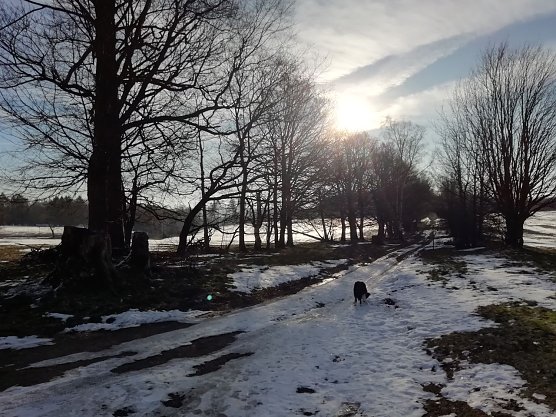 Die Sonne zeigt sich in den n&auml;chsten Tagen seltener (Foto: W. J&ouml;rgens)