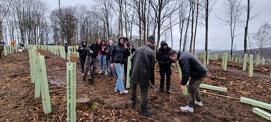 pflanzaktion in Worbis (Foto: N.B&ouml;hlitz)