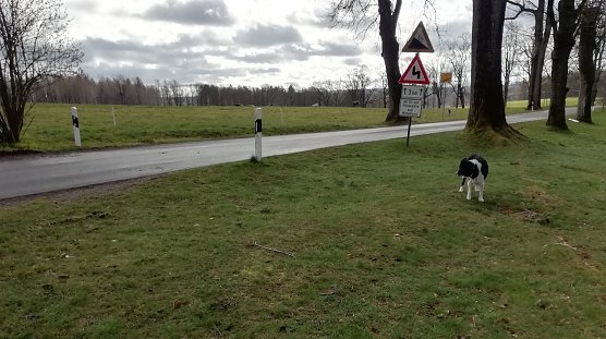 Drei Grad, starker Wind und zeitweise Sonne heute Morgen in Sophienhof iim Harz (Foto: W.J&ouml;rgens)