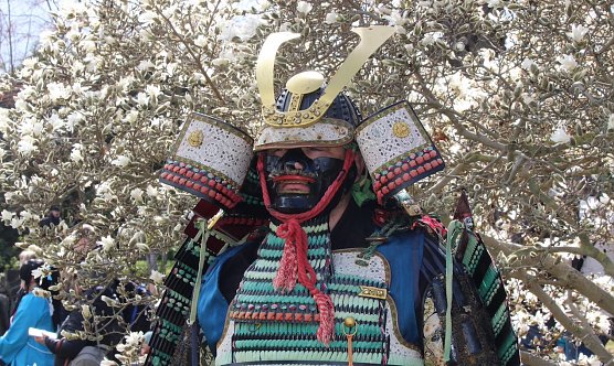 Tradition Show und Fest: Das Kirchblütenfest in Bad Langensalza (Foto: Eva Maria Wiegand) Tradition Show und Fest: Das Kirchblütenfest in Bad Langensalza (Foto: Eva Maria Wiegand)