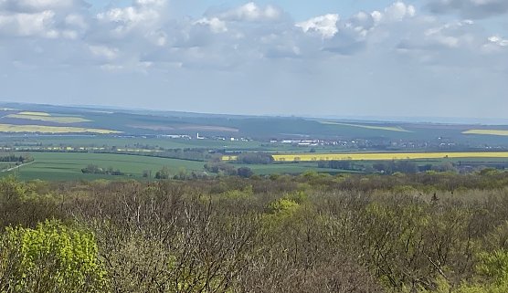 Blick vom Baumkronenpfad (Foto: oas)