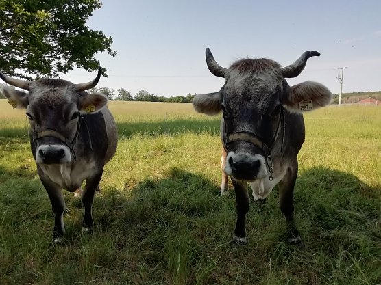 Bei 17 Grad und Sonnenschein kann man es sich in Sophienhof schonmal im Schatten gem&uuml;tlich machen (Foto: W. J&ouml;rgens)