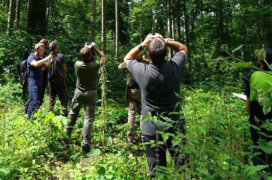 Waldzustandsexperten in Auftrag von Th&uuml;ringenForst (Foto: Krahnberg)