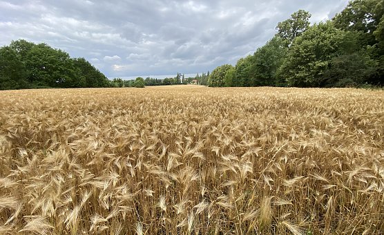 Der Sommer pausiert leider weiter (Foto: oas)