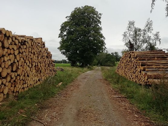 Grau zeigt sich der Himmel auch &uuml;ber Sophienhof (Foto: W. J&ouml;rgens)