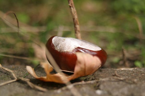 Wetterbild (Foto: nnz)