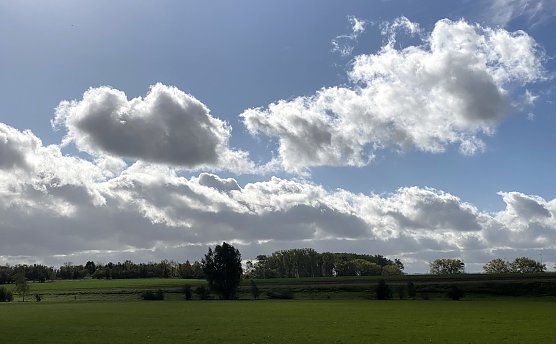 Herbststimmung (Foto: oas) Herbststimmung (Foto: oas)