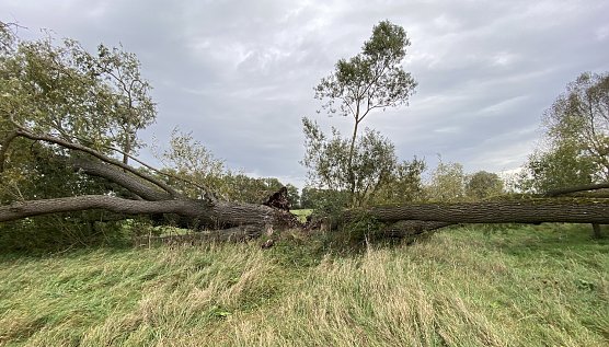 Weiter kühles Herbstwetter (Foto: oas) Weiter kühles Herbstwetter (Foto: oas)