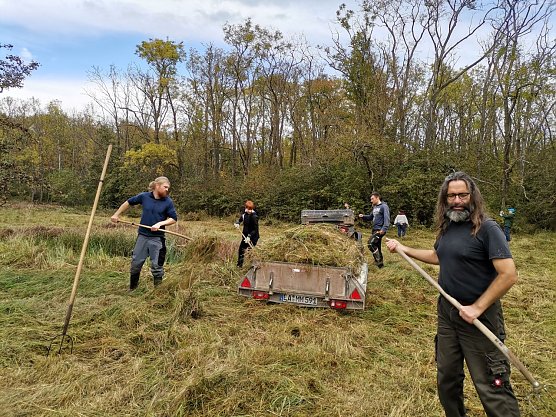 Pflegeeinsatz auf der Binsenwiese bei Reichenbach mit vielen helfenden H&auml;nden    (Foto: Jan Lanvers)