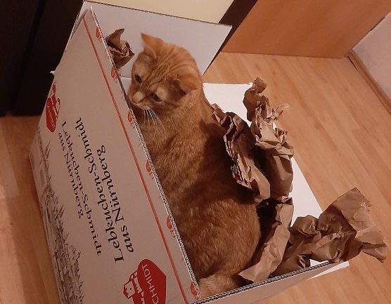 Leckere Lebkuchen (Foto: Diana aus Nordhausen) Leckere Lebkuchen (Foto: Diana aus Nordhausen)