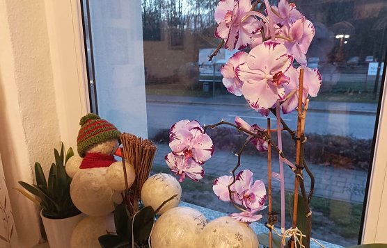 Standhafter Schneemann (Foto: Thomas Leipold)