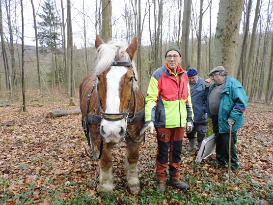 Vorf&uuml;hrung im Wald (Foto: Privat)