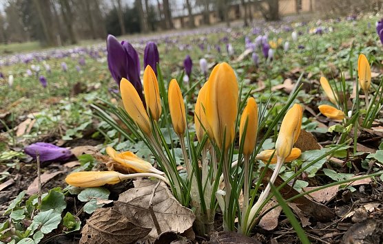 Symbolbild Wetter (Foto: emw) Symbolbild Wetter (Foto: emw)