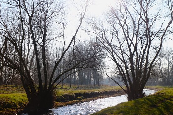 Wetterbild (Foto: agl) Wetterbild (Foto: agl)