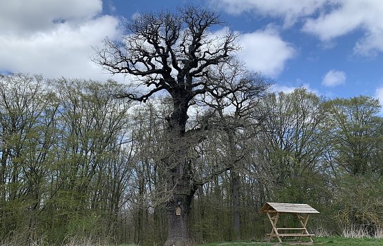 Wetter (Foto: Eva Maria Wiegand) Wetter (Foto: Eva Maria Wiegand)