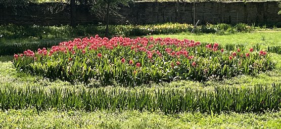 Im Arboretum in Bad Langensalza (Foto: oas)