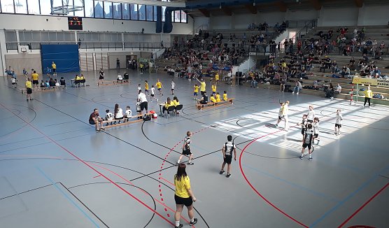 "Ran an den Ball" in der Wiedigsburghalle (Foto: M.Fromm)