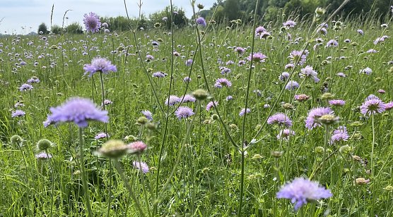 Esc bleibt nass, wird aber wieder w&auml;rmer (Foto: oas)