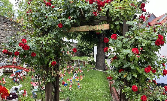 Mitten in der Kur- und Rosenstadt Bad Langensalza (Foto: oas)