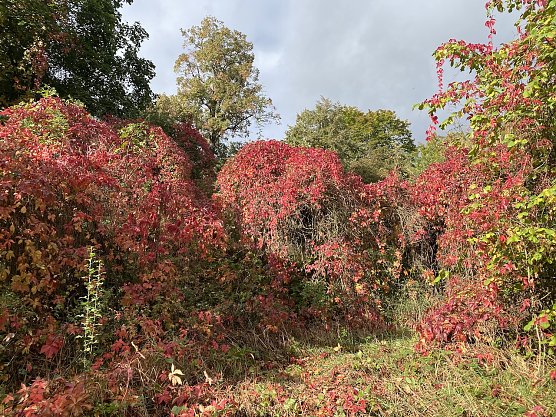 Sp&auml;tes Septemberwetter (Foto: oas)