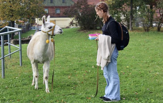 Stille Kommunikation zwischen Mensch und Tier (Foto: Eva Maria Wiegand) Stille Kommunikation zwischen Mensch und Tier (Foto: Eva Maria Wiegand)