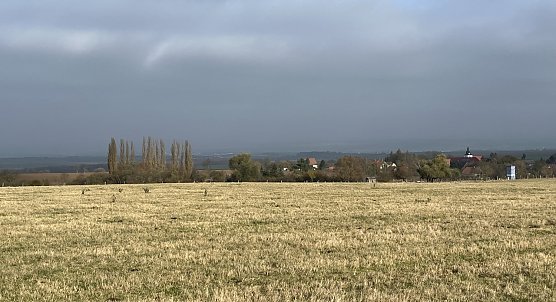 Weiter herbstliches Schmuddelwetter ohne Sonne (Foto: oas)