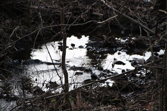 Wetterbild (Foto: agl)